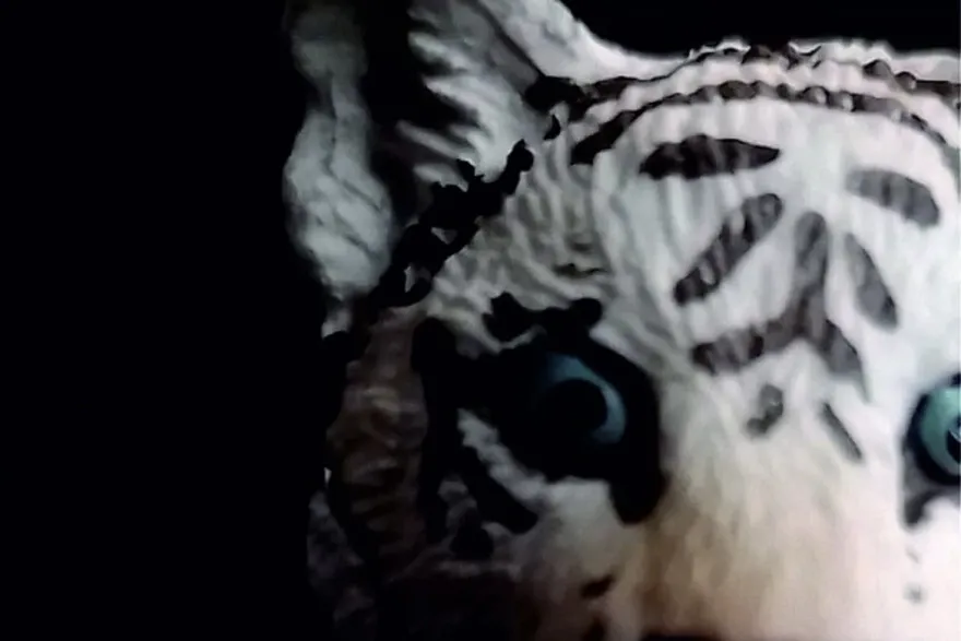 <p>Tönt spelar Kent</p>